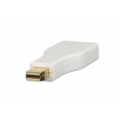DisplayPort Female to Mini DisplayPort Male Adapter DisplayPort Female to Mini DisplayPort Male Adapter